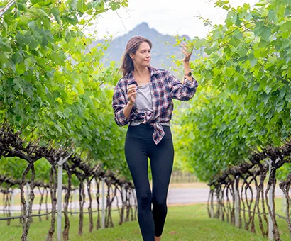 Full day Sunshine Coast wine tour at Dusty Hill Vineyard Barambah Valley South Burnett with premium tastings