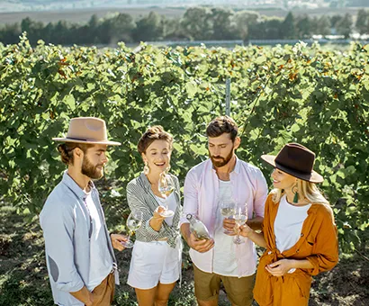 Sunshine Coast Hinterland Discovery wine tour featuring rainforest walks, waterfalls, and boutique Montville winery visits