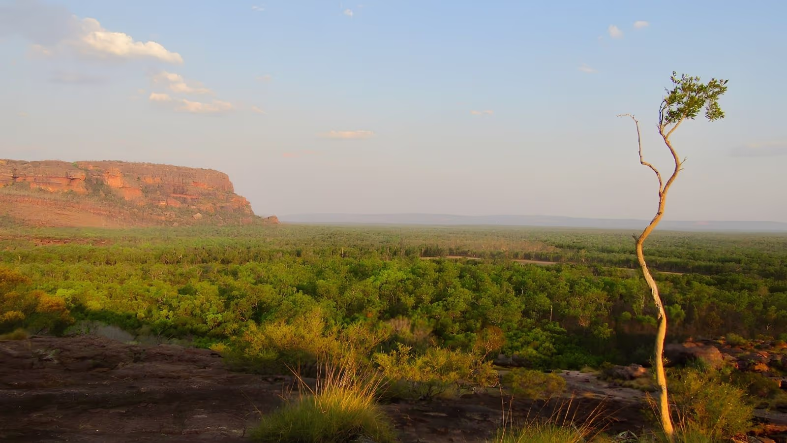 A Kakadu billabong under clear dry-season sky, lined with paperbarks and reflecting the escarpment