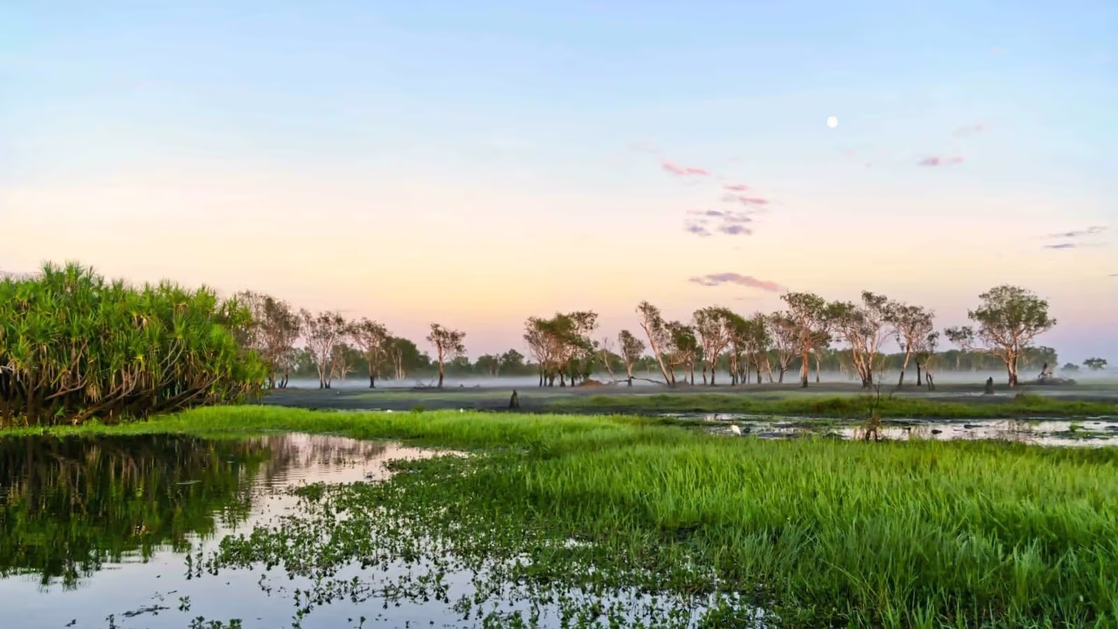 Kakadu National Park Yellow Water Billabong wetlands birds NT — Highway 1 Big Lap Top End cultural immersion dry season only