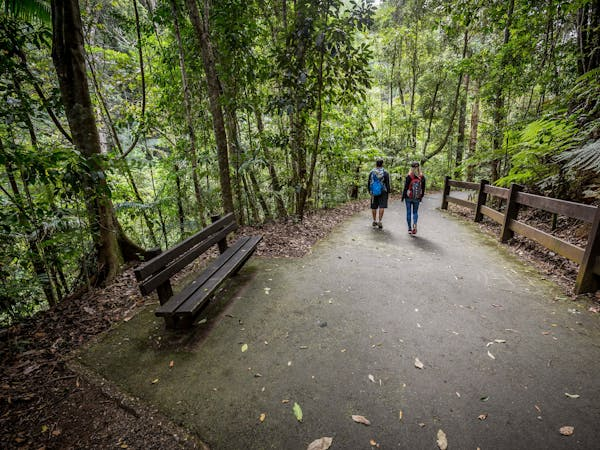 Steep rainforest country in the Gold Coast hinterland, the terrain the cellar door access roads climb through