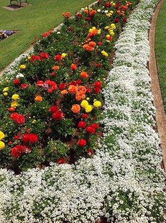 Laurel Bank Park's scented garden and themed beds — the half of the Carnival first-timers skip