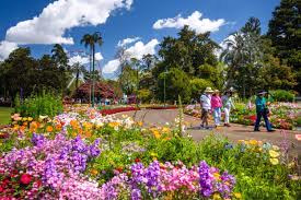 A Chronicle Garden Competition champion garden — the suburbs' entry in the Carnival's history