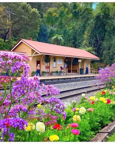 Spring Bluff railway station gardens on the Toowoomba Range